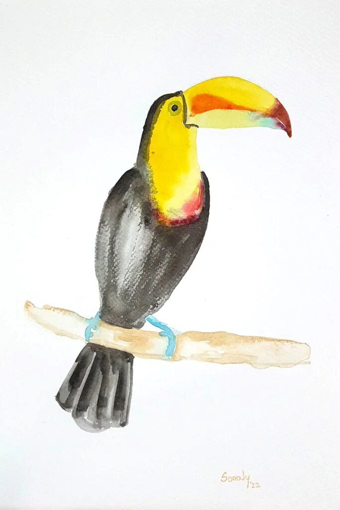 This is an original minimalist watercolor on paper painting of a rectangular shape. This artwork titled "Toucan" has a white paper background with the beautiful Toucan Bird sitting on the branch of a tree, in the center, occupying most of the composition. Painted in bright, and vibrant hues of yellow, orange, black, brown, green, and more, the painting is well-balanced and very attractive. This artwork is from my watercolour series called "Birds". The fluidity of this medium offers a unique opportunity for me to let go and strike a balance between control and freedom, resulting in astonishing effects and outputs. Toucan, watercolor birds, romantic paintings for bedroom, paintings for home walls, places to buy artwork