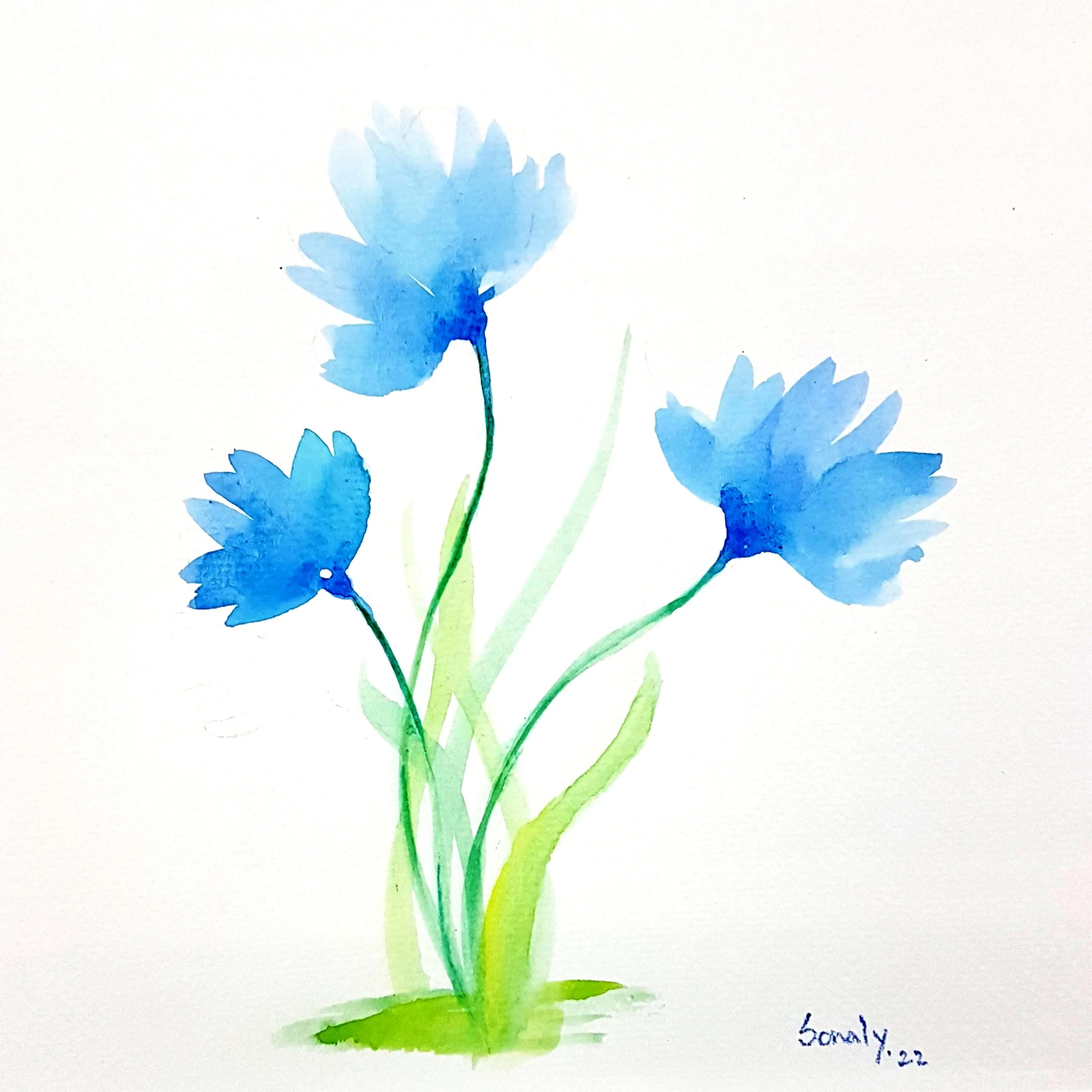 This is an original minimalist watercolor on paper painting of a square shape. The background is paper white with the beautiful and delicate Blue Daisies in the center, occupying the majority of the artwork. Painted in bright, and vibrant hues of blue and green, the painting is well-balanced and very attractive. This artwork is from my watercolour series called "Flowers". The fluidity of this medium offers a unique opportunity for me to let go and strike a balance between control and freedom, resulting in astonishing effects and outputs. Blue Daisies, flower wall art, original art online, living popular artists, original art for sale