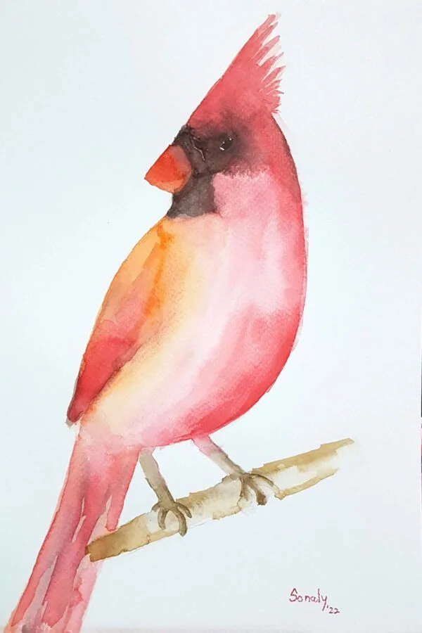 This is an original minimalist watercolor on paper painting of a rectangular shape. This artwork titled "Northern Cardinal" has a white paper background with the beautiful Northern Cardinal Bird sitting on the branch of a tree, in the center, occupying most of the composition. Painted in bright, and vibrant hues of red, black, and more, the painting is well-balanced and very attractive. This artwork is from my watercolour series called "Birds". The fluidity of this medium offers a unique opportunity for me to let go and strike a balance between control and freedom, resulting in astonishing effects and outputs. Northern Cardinal, watercolor painting, room art, Paintings of International Artist, places to buy paintings