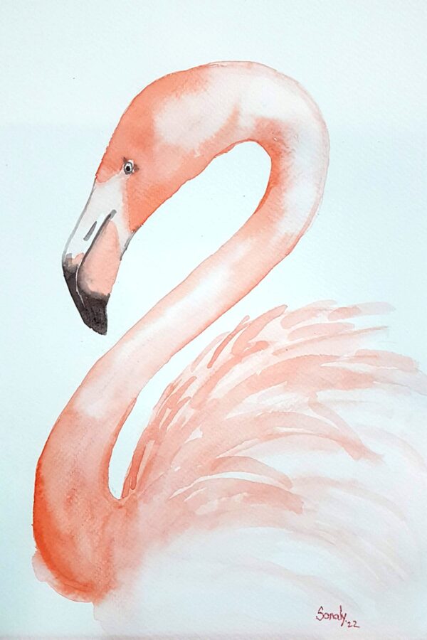 flamingo, flamingo painting, buy watercolor art, black friday sale, free shipping