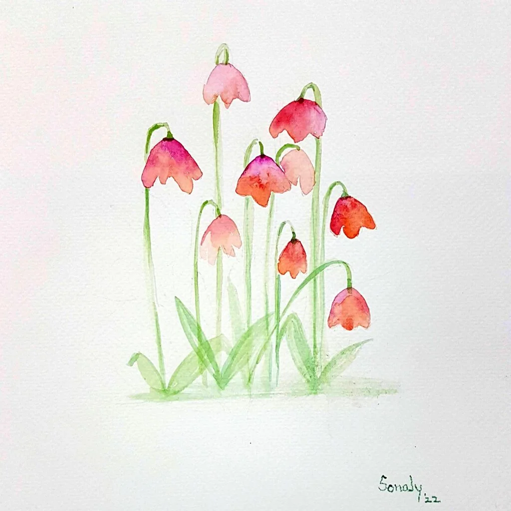 This is an original minimalist watercolor on paper painting of a square shape. The background is paper white with beautiful and rare Red bluebells in the center, occupying the majority of the artwork. Painted in bright, and vibrant hues of red, pink, and green, the painting is well-balanced and very attractive. This artwork is from my watercolour series called "Flowers". The fluidity of this medium offers a unique opportunity for me to let go and strike a balance between control and freedom, resulting in astonishing effects and outputs.
