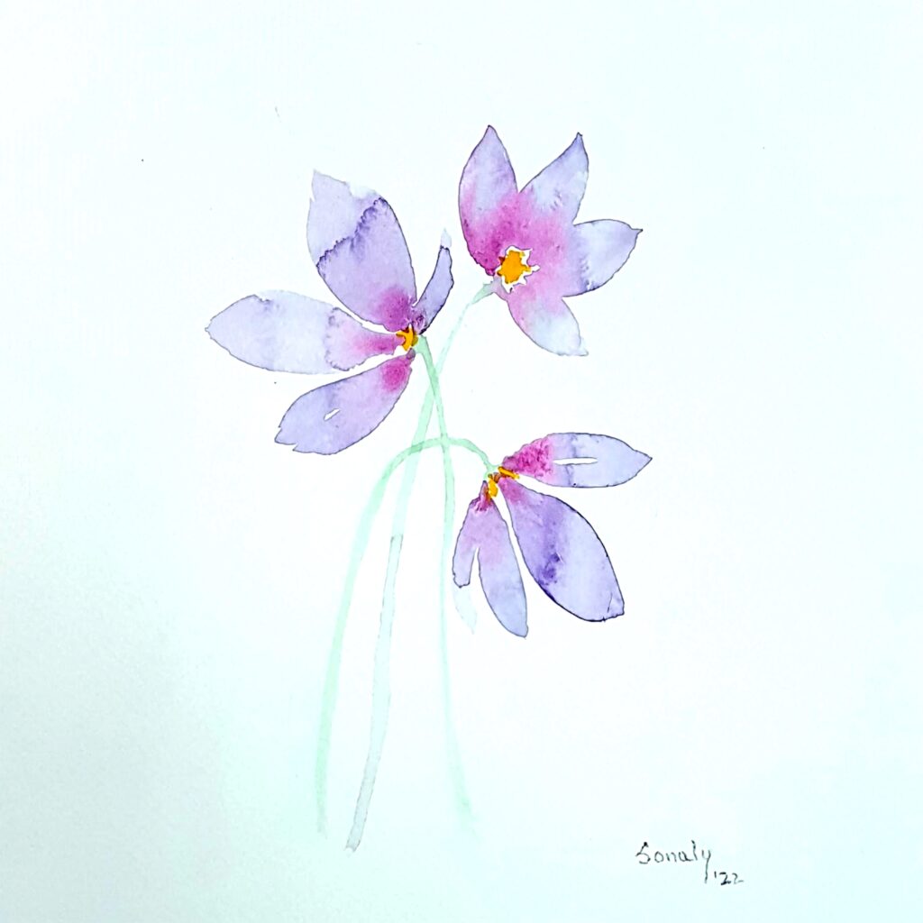 This is an original minimalist watercolor on paper painting of a square shape. The background is paper white with the beautiful and delicate Purple Lilies in the center, occupying the majority of the artwork. Painted in bright, and vibrant hues of purple, pink, and green, the painting is well-balanced and very attractive. This artwork is from my watercolour series called "Flowers". The fluidity of this medium offers a unique opportunity for me to let go and strike a balance between control and freedom, resulting in astonishing effects and outputs. Purple Lilies, buy watercolor painting, painter online, modern artists famous, original art paintings for sale