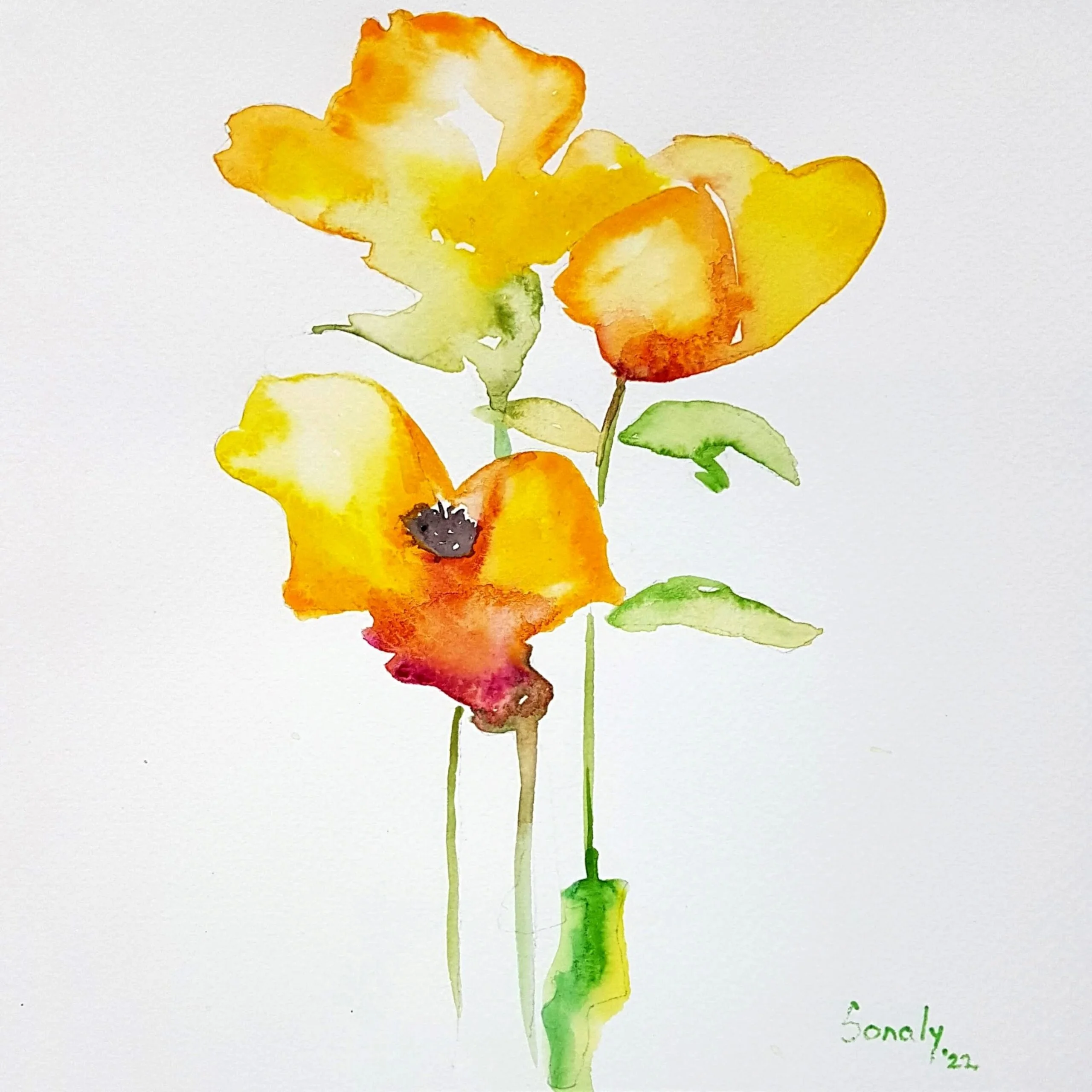 This is an original minimalist watercolor on paper painting of a square shape. The background is paper white with the beautiful Yellow Poppies in the center, occupying the majority of the artwork. Painted in bright, and vibrant hues of yellow, red, brown and green, the painting is well-balanced and very attractive. This artwork is from my watercolour series called "Flowers". The fluidity of this medium offers a unique opportunity for me to let go and strike a balance between control and freedom, resulting in astonishing effects and outputs. Yellow Poppies, flower artwork, online art gallery, large artwork, how to buy paintings