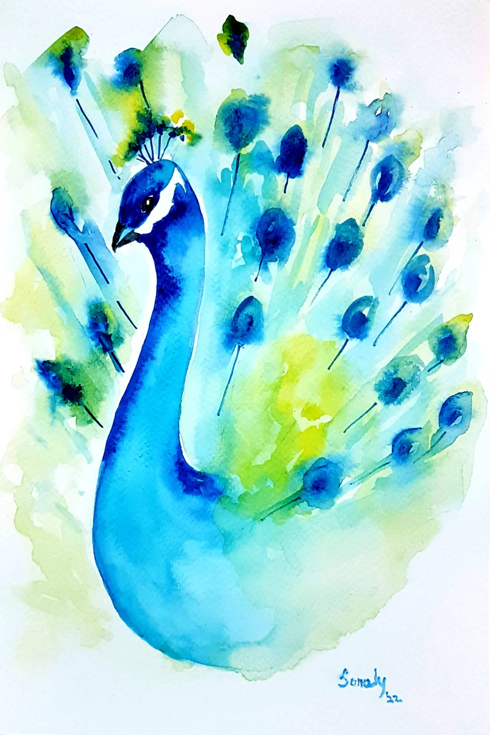 This is an original minimalist watercolor on paper painting of a rectangular shape. This artwork titled "Peacock" has a white paper background with the beautiful peacock bird painted in the center, occupying most of the composition. Painted in bright, and vibrant hues of blue, green, and more, the painting is well-balanced and very attractive. This artwork is from my watercolour series called "Birds". The fluidity of this medium offers a unique opportunity for me to let go and strike a balance between control and freedom, resulting in astonishing effects and outputs. Peacock, bird painting, painting shop, most famous artists alive, original modern art for sale