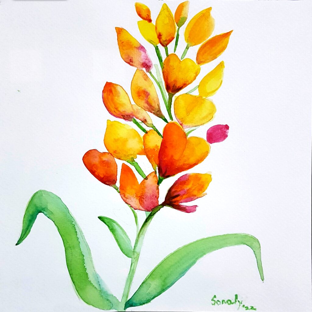 This is an original minimalist watercolor on paper painting of a square shape. The background is paper white with the beautiful Yellow Salvia flowers in the center, occupying the majority of the artwork. Painted in bright, and vibrant hues of yellow, red, and green, the painting is well-balanced and very attractive. This artwork is from my watercolour series called "Flowers". The fluidity of this medium offers a unique opportunity for me to let go and strike a balance between control and freedom, resulting in astonishing effects and outputs. Yellow Salvia, flower wall decor, online art sites, large canvas, how to find affordable good art