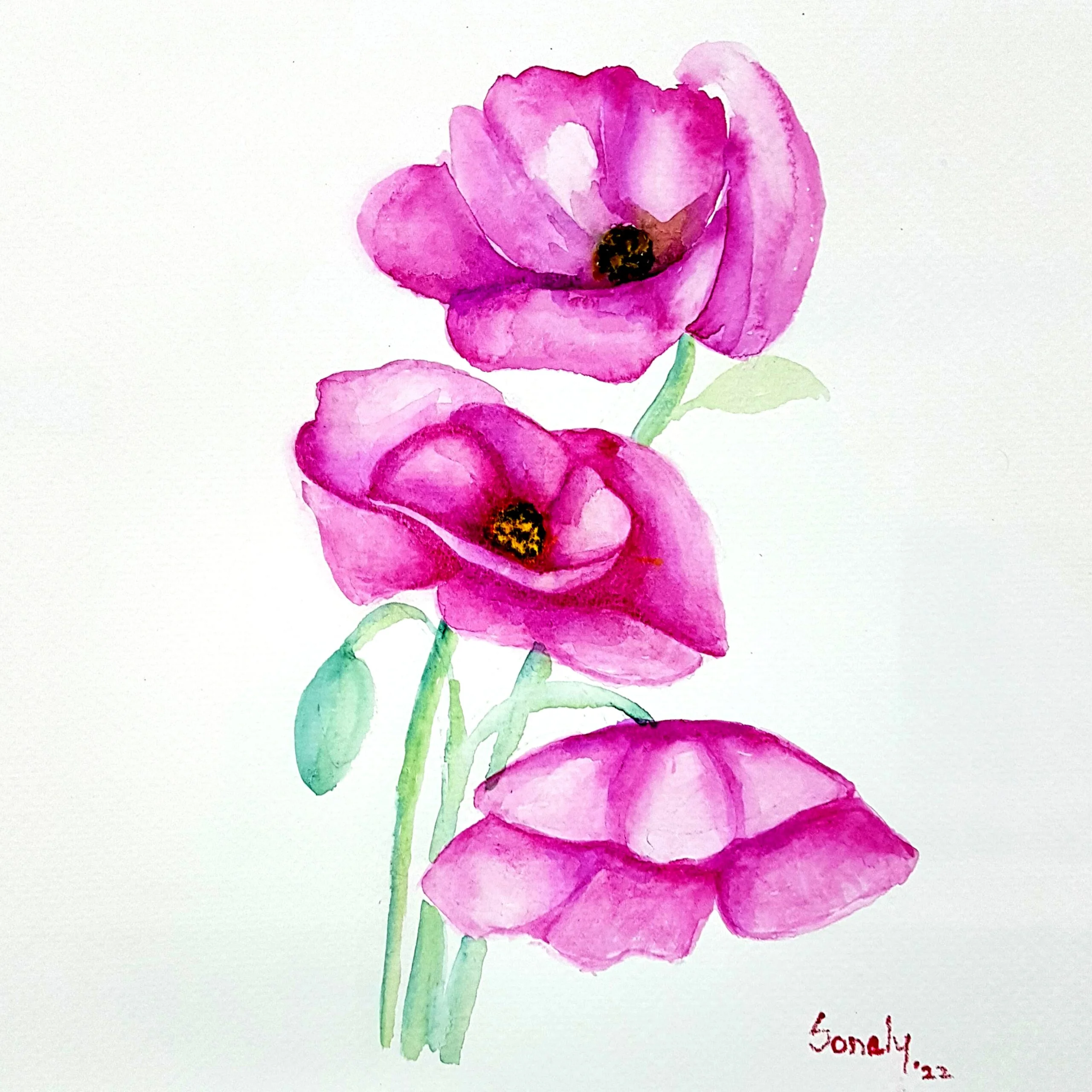 This is an original minimalist watercolor on paper painting of a square shape. The background is paper white with the beautiful Pink Poppies in the center, occupying the majority of the artwork. Painted in bright, and vibrant hues of purple, pink and green, the painting is well-balanced and very attractive. This artwork is from my watercolour series called "Flowers". The fluidity of this medium offers a unique opportunity for me to let go and strike a balance between control and freedom, resulting in astonishing effects and outputs.