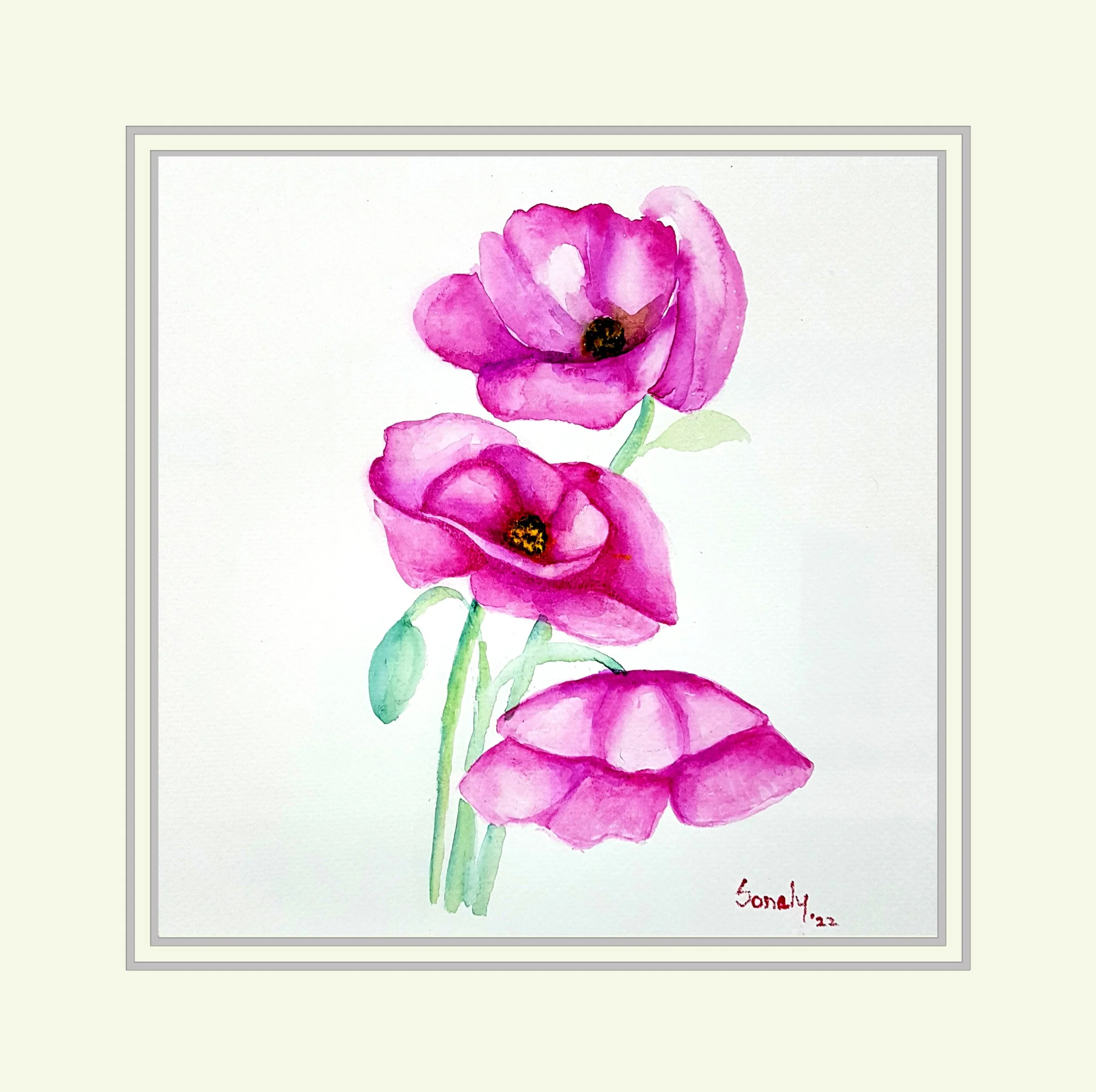 Pink Poppies - Image 2