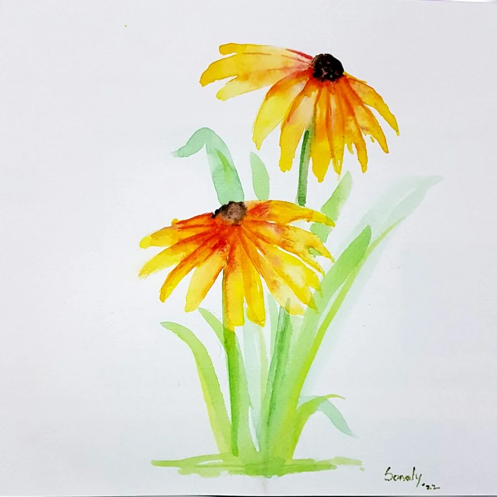 This is an original minimalist watercolor on paper painting of a square shape. The background is paper white with the beautiful Sunflowers in the center, occupying the majority of the artwork. Painted in bright, and vibrant hues of yellow, red, and green, the painting is well-balanced and very attractive. This artwork is from my watercolour series called "Flowers". The fluidity of this medium offers a unique opportunity for me to let go and strike a balance between control and freedom, resulting in astonishing effects and outputs. Sunflowers, painting flowers, online art websites, large canvas wall art, modern art for sale