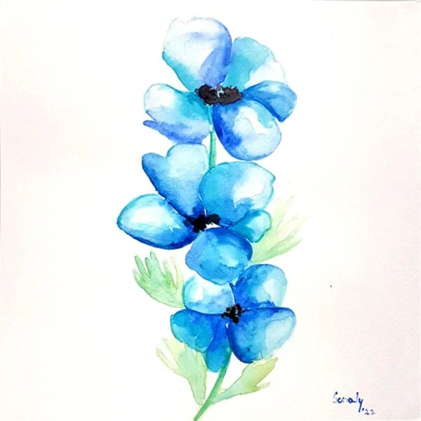 This is an original minimalist watercolor on paper painting of a square shape. The background is paper white with the beautiful Blue Poppies in the center, occupying the majority of the artwork. Painted in bright, and vibrant hues of blue and green, the painting is well-balanced and very attractive. This artwork is from my watercolour series called "Flowers". The fluidity of this medium offers a unique opportunity for me to let go and strike a balance between control and freedom, resulting in astonishing effects and outputs.