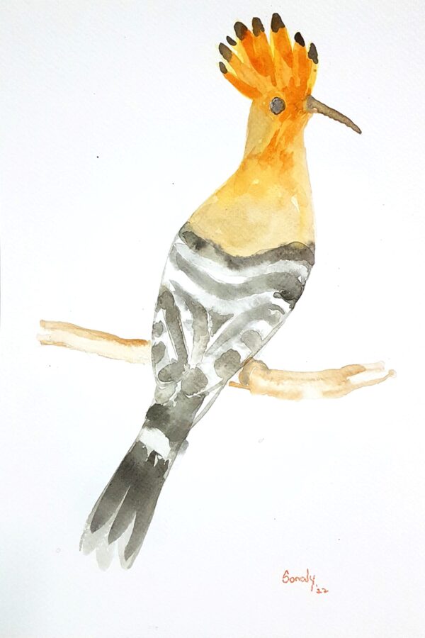 This is an original minimalist watercolor on paper painting of a rectangular shape. This artwork titled "Hoopoe" has a white paper background with the beautiful Hoopoe Bird sitting on the branch of a tree, in the center, occupying most of the composition. Painted in bright, and vibrant hues of yellow, orange, black, brown, green, and more, the painting is well-balanced and very attractive. This artwork is from my watercolour series called "Birds". The fluidity of this medium offers a unique opportunity for me to let go and strike a balance between control and freedom, resulting in astonishing effects and outputs.