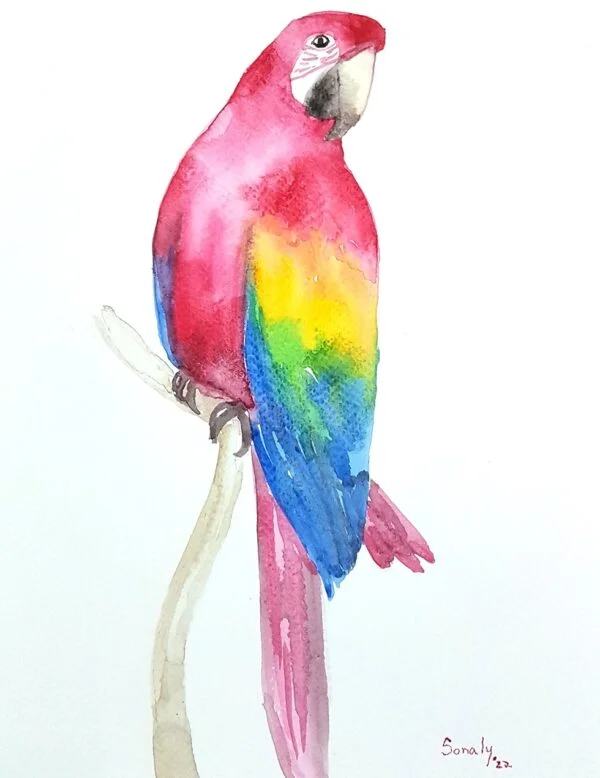 BIRDS